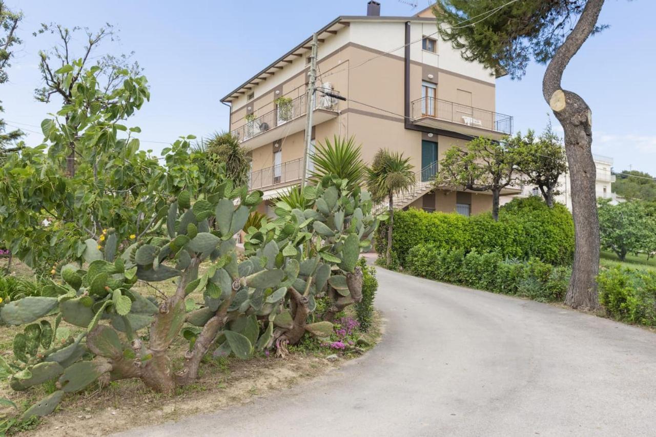 B&B Alba Sul Mare Guest House Massignano Eksteriør billede